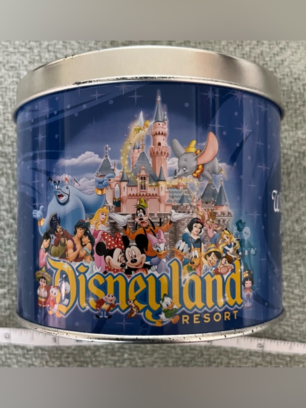 Disneyland Resort Blue Character Tin
